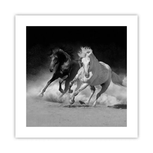 Plakat - Galop wolności - 40x40 cm