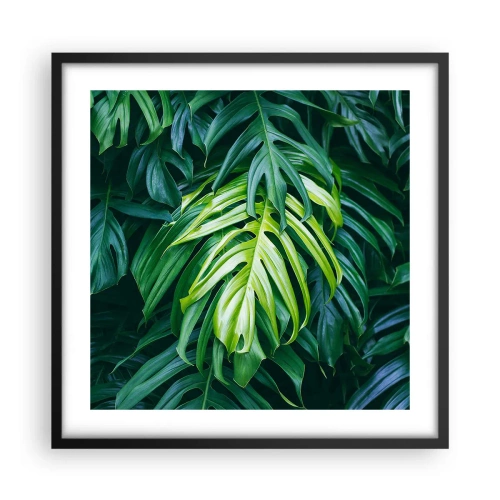 Plakat w czarnej ramie - Zanurzyć się w świeżości - 50x50 cm