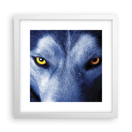 Plakat w białej ramie - Hipnotyzujące spojrzenie - 30x30 cm