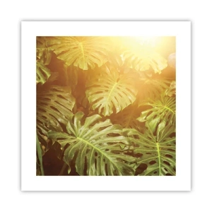 Plakat - W zieloność wstąpić… - 40x40 cm