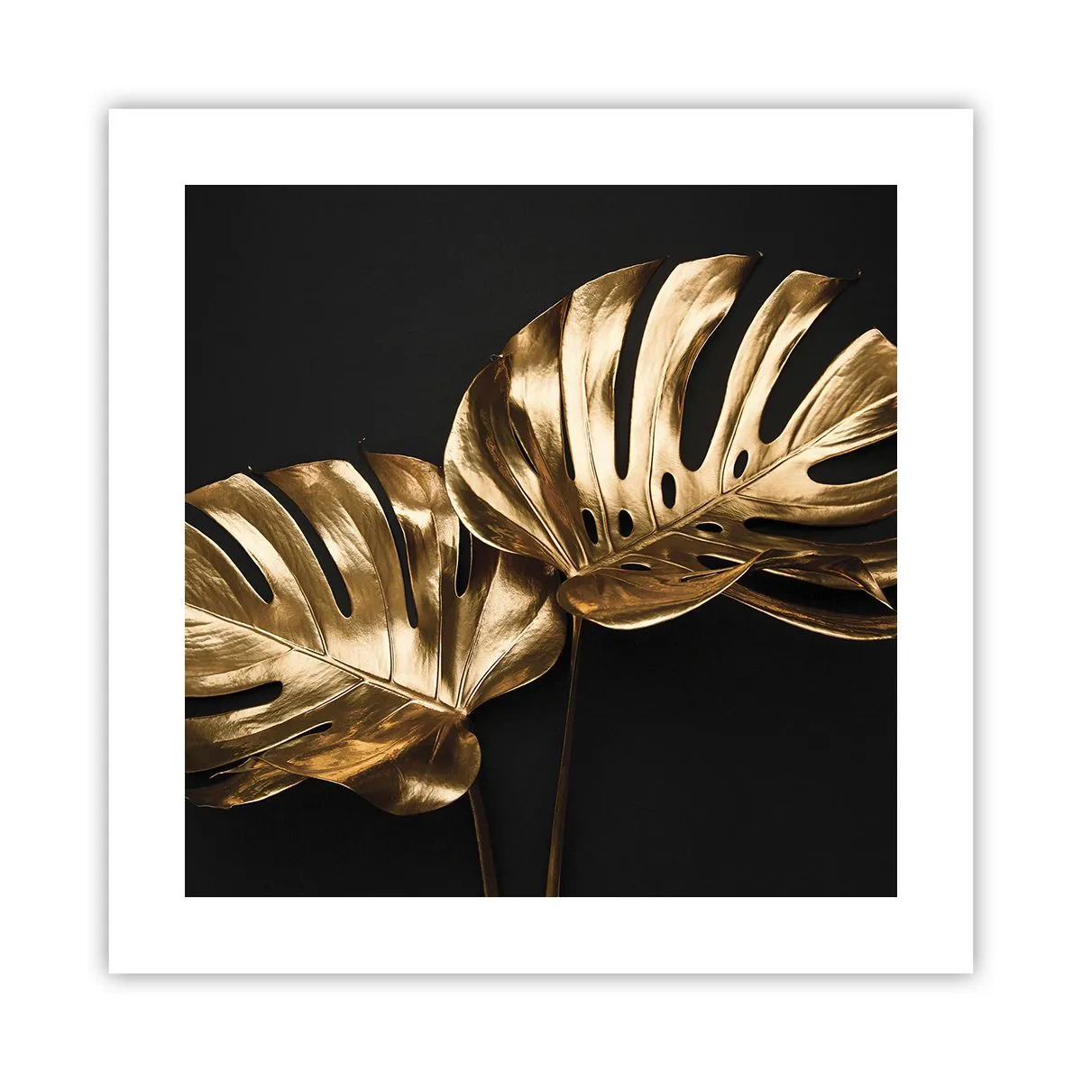 Plakat - Skarby natury - 40x40 cm