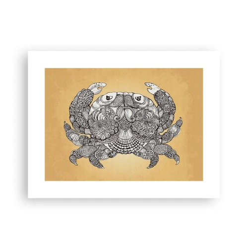 Plakat - Opowieści Pana Kraba - 40x30 cm