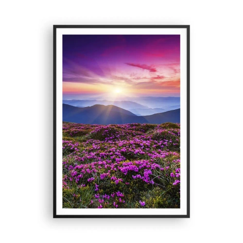 Plakat w czarnej ramie - Ziół zapachniały świeże pęki od niw - 70x100 cm
