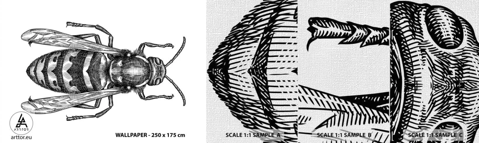 Fototapeta Próbka Premium Canvas - Z owadziej planety - Osa, Owad, Minimalistyczny - 100x30 cm