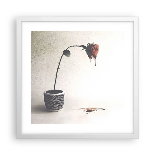 Plakat w białej ramie - Rosa dolorosa - 40x40 cm