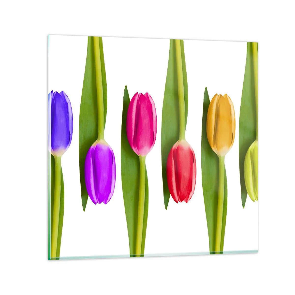 Obraz na szkle - Tęczowa kompozycja - 40x40 cm