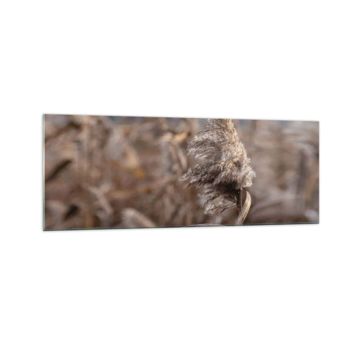 Obraz na szkle - Delikatne trawy w odcieniach beżu na tle natury - 140x50cm - Czas odlecieć z wiatrem - Nowoczesna dekoracja ścienna do salonu i sypialni ARTTOR