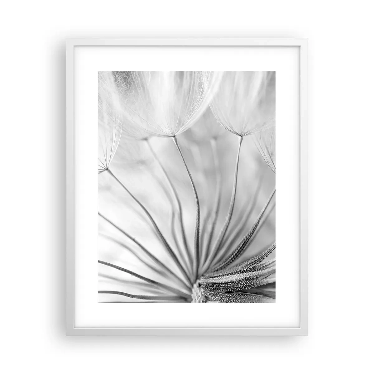 Plakat w białej ramie - Dmuchawce, latawce - 40x50 cm