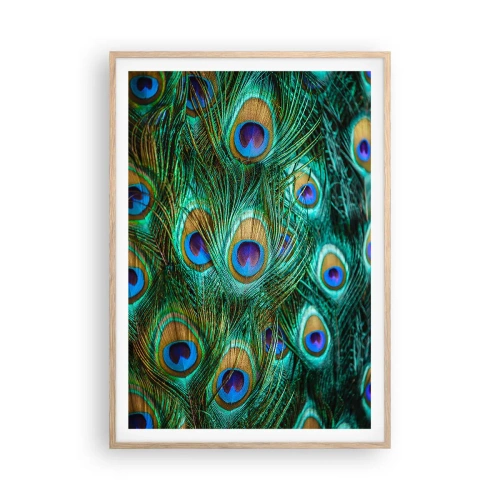 Plakat w ramie jasny dąb - Pawiookie spojrzenie - 70x100 cm