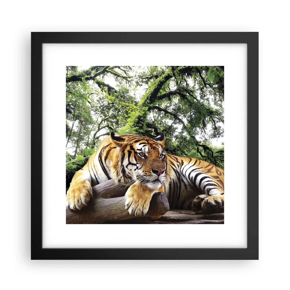 Plakat w czarnej ramie - Z wyrazami szacunku - 30x30 cm