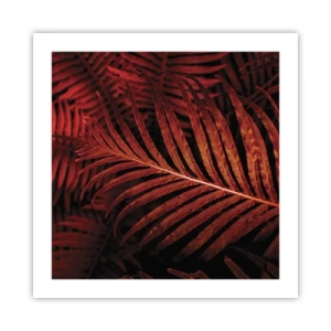 Plakat - Żar życia - 50x50 cm