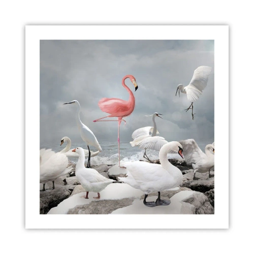 Plakat - Skąd się tu wziąłem? - 50x50 cm