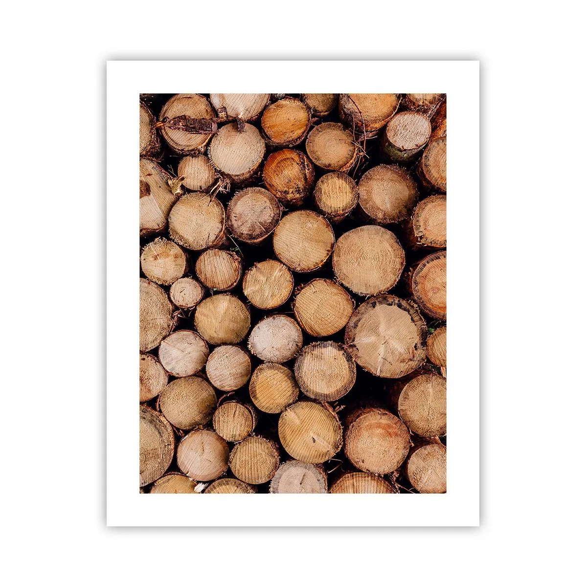 Plakat - Nowy początek - 40x50 cm