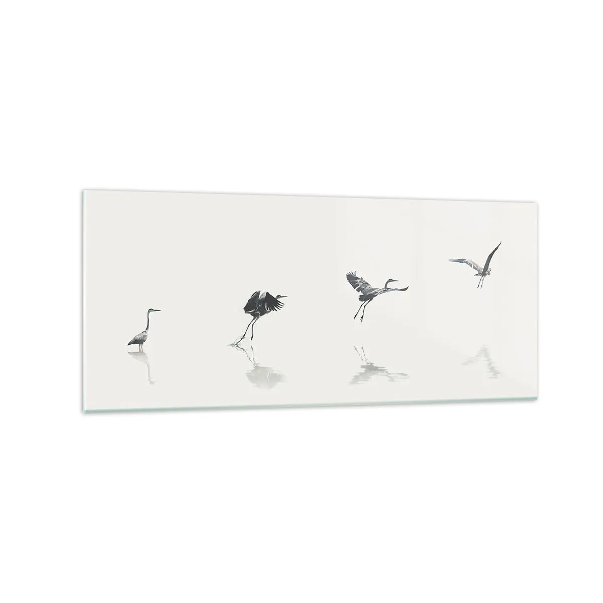 Obraz na szkle - Cztery sylwetki ptaków odbijające się na spokojnej wodzie - 120x50cm - Cztery proste kroki - Nowoczesna dekoracja ścienna do salonu i sypialni ARTTOR
