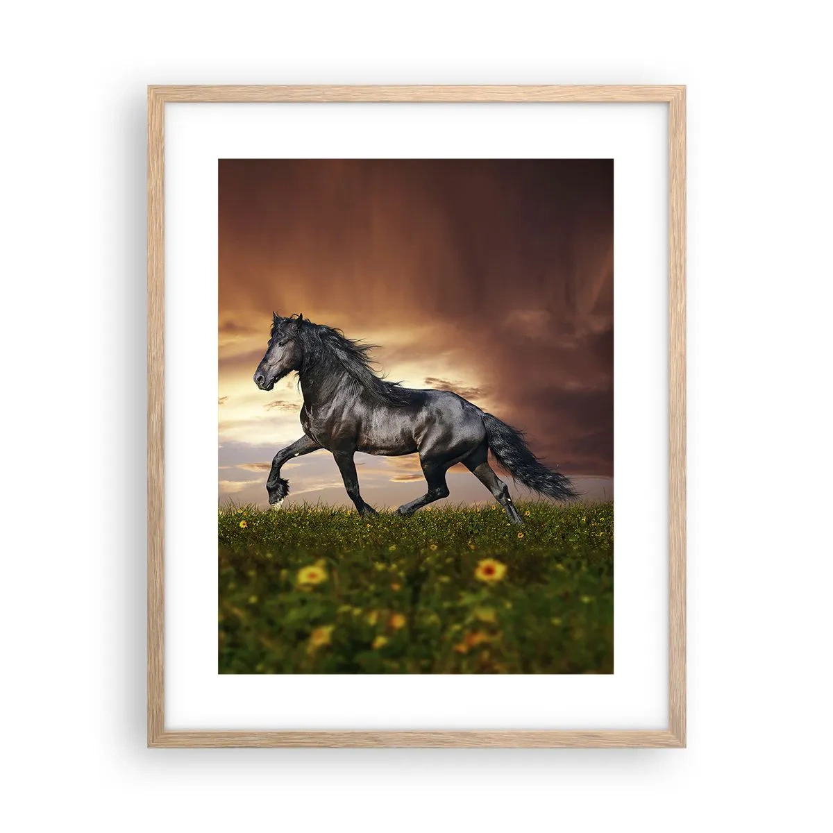 Plakat w ramie jasny dąb - Czarny książę - 40x50 cm