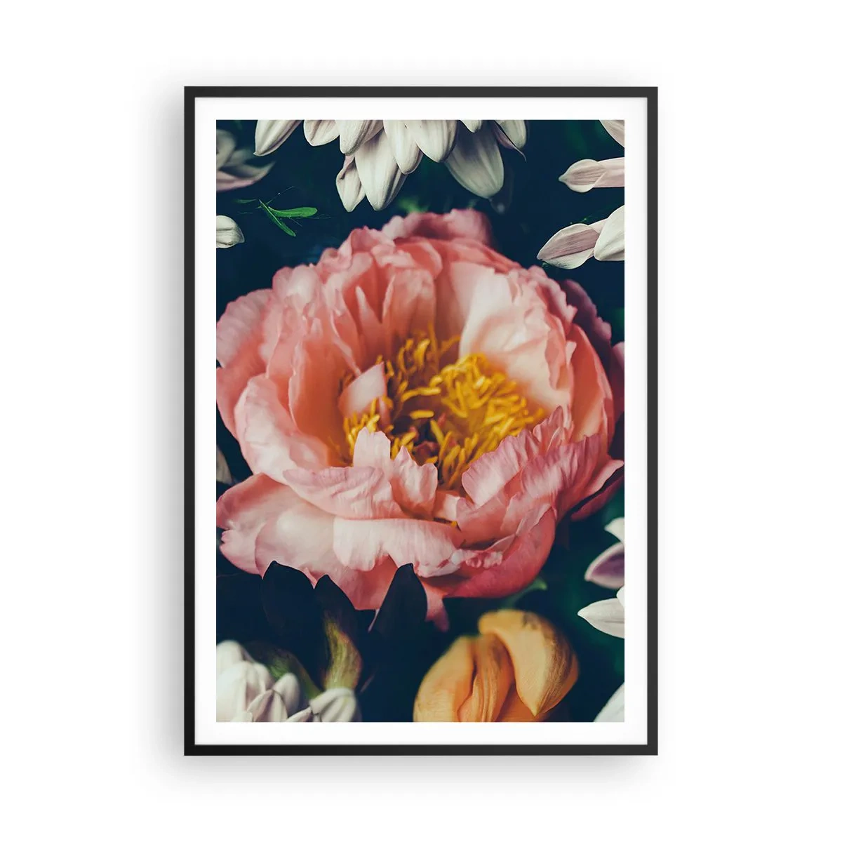 Plakat w czarnej ramie - Z barokowym przepychem - 70x100 cm