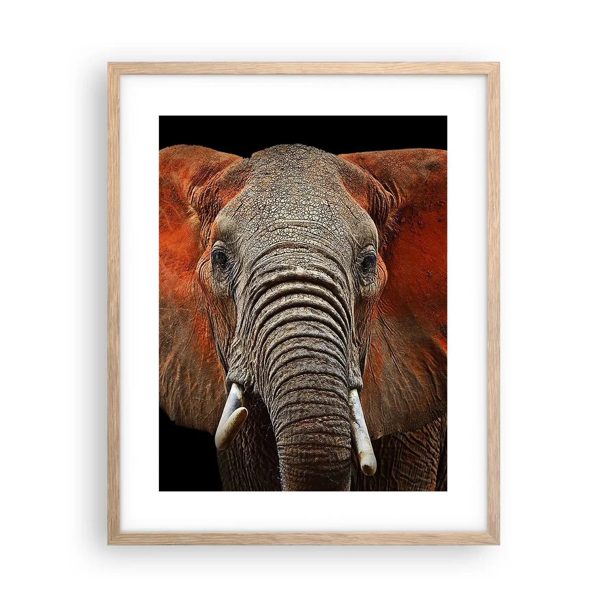 Plakat w ramie jasny dąb - Jestem dziki, a ty? - 40x50 cm