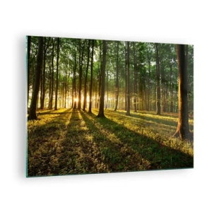 Obraz na szkle - Leśna polana oświetlona promieniami wschodzącego słońca - 70x50cm - Fotografia wszystkich wiosen - Nowoczesna dekoracja ścienna do salonu i sypialni ARTTOR