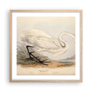 Plakat w ramie jasny dąb - Pani na szuwarach - 50x50 cm