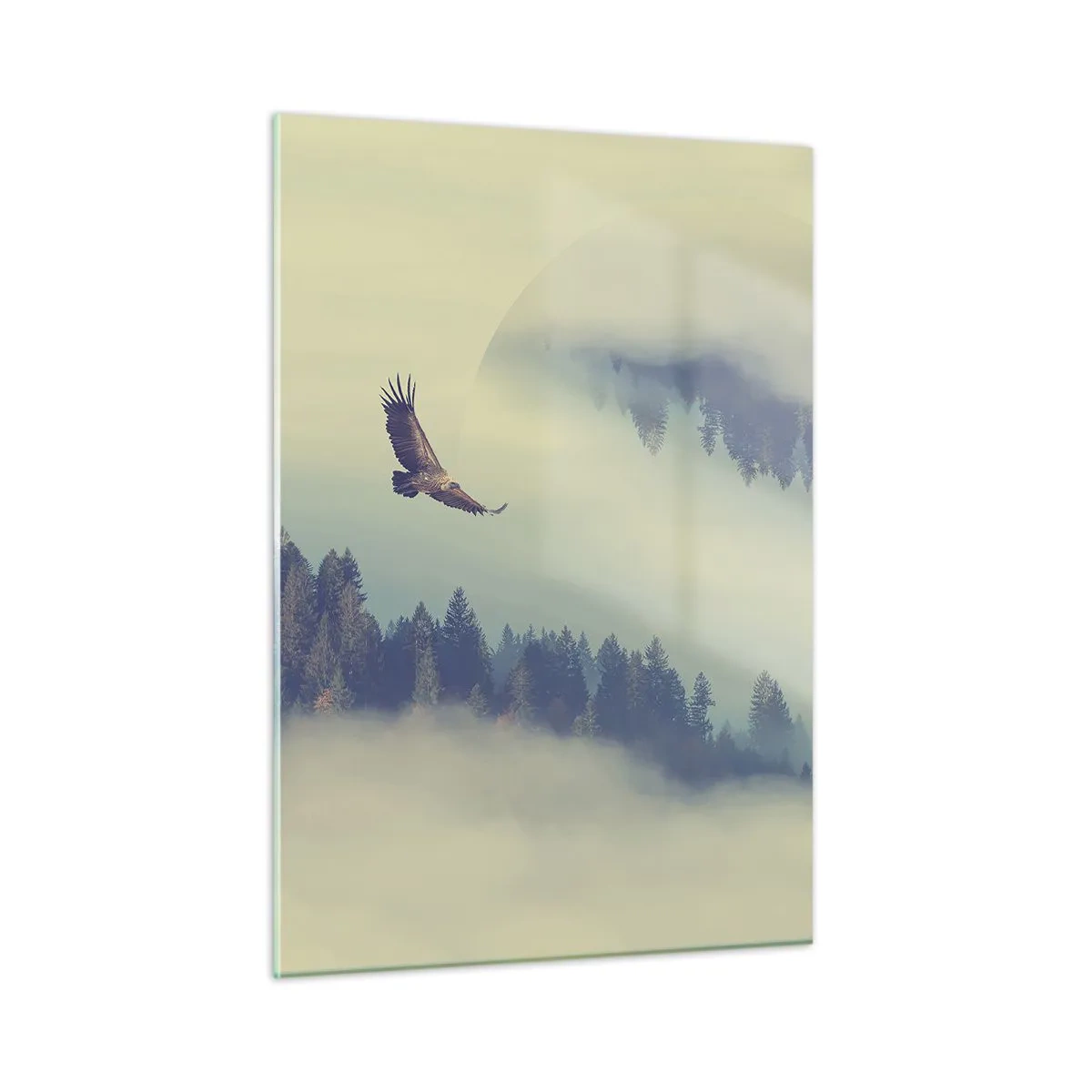 Obraz na szkle - Orzeł w locie nad lasem spowitym mgłą z surrealistycznym odbiciem - 50x70cm - Widziałam orła cień - Nowoczesna dekoracja ścienna do salonu, kuchni i sypialni ARTTOR