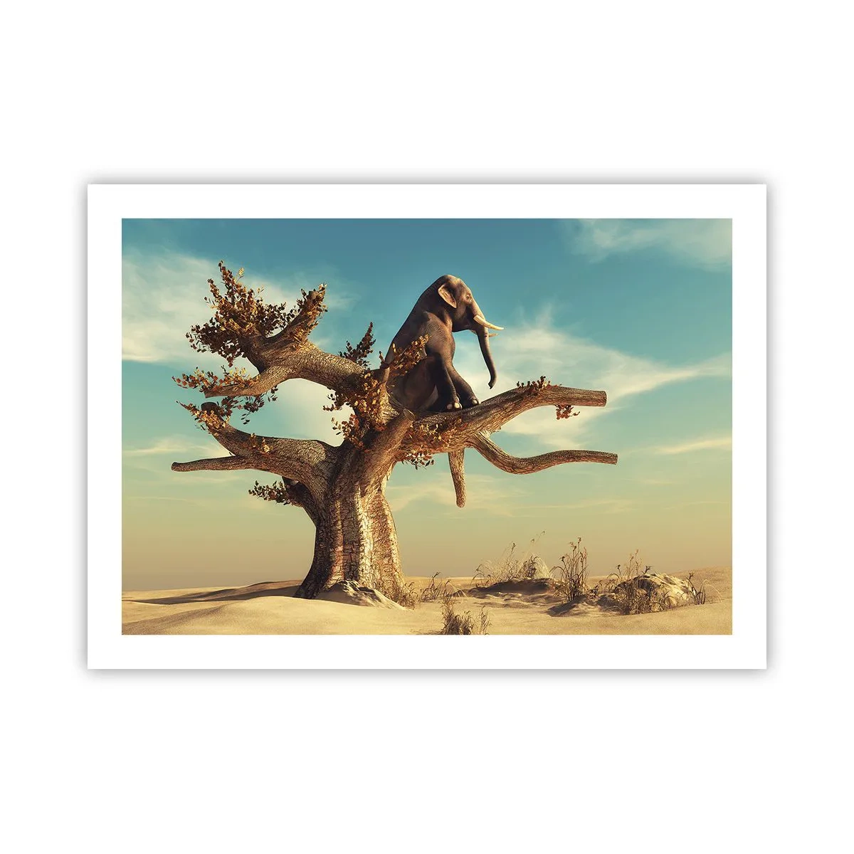 Plakat - Nowy punkt widzenia - 70x50 cm