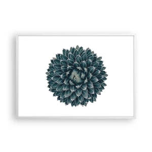Plakat w białej ramie - Gwiazda pustyni - 100x70 cm