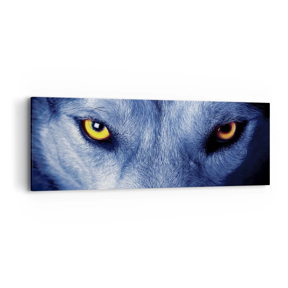 Obraz na płótnie - Hipnotyzujące spojrzenie - 90x30 cm