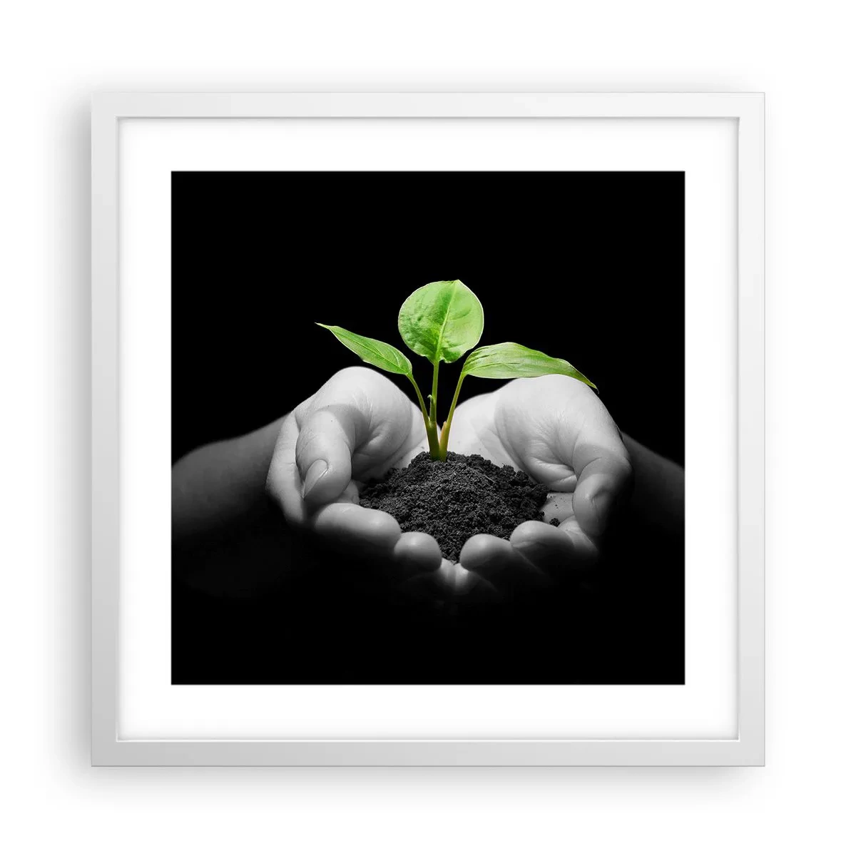 Plakat w białej ramie - Kocham naturę, chronię ją - 40x40 cm