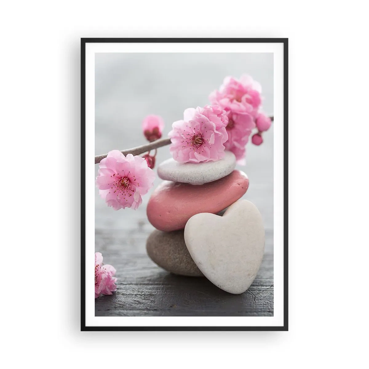 Plakat w czarnej ramie - Błogość z kwiatem wiśni - 70x100 cm