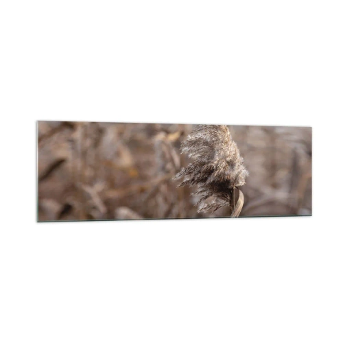 Obraz na szkle - Delikatne trawy w odcieniach beżu na tle natury - 160x50cm - Czas odlecieć z wiatrem - Nowoczesna dekoracja ścienna do salonu i sypialni ARTTOR