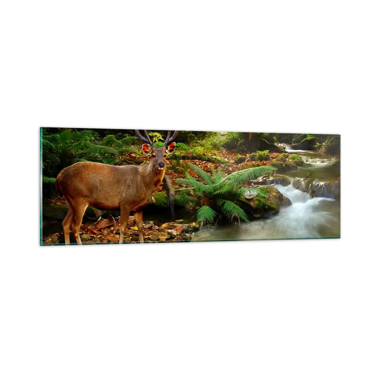 Obraz na szkle - Witam w moim świecie - 90x30 cm