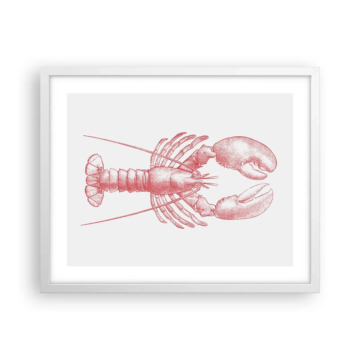 Plakat w białej ramie - Homar godny Homera - 50x40 cm