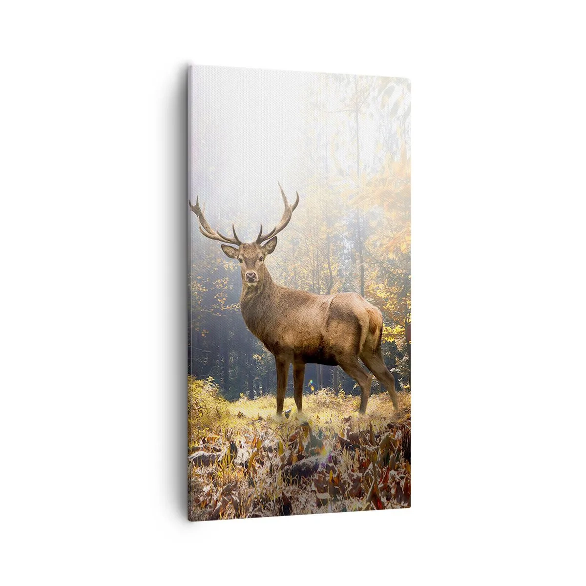 Obraz na płótnie - W pełnym majestacie - 55x100 cm