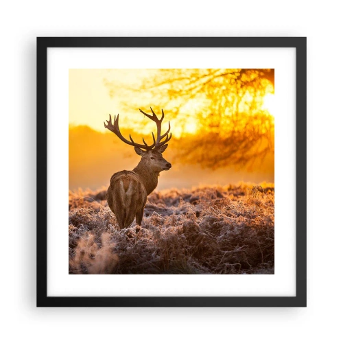 Plakat w czarnej ramie - Król jesiennego lasu - 40x40 cm
