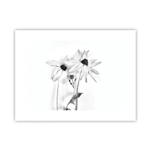 Plakat - Nikt nie chce być sam - 40x30 cm