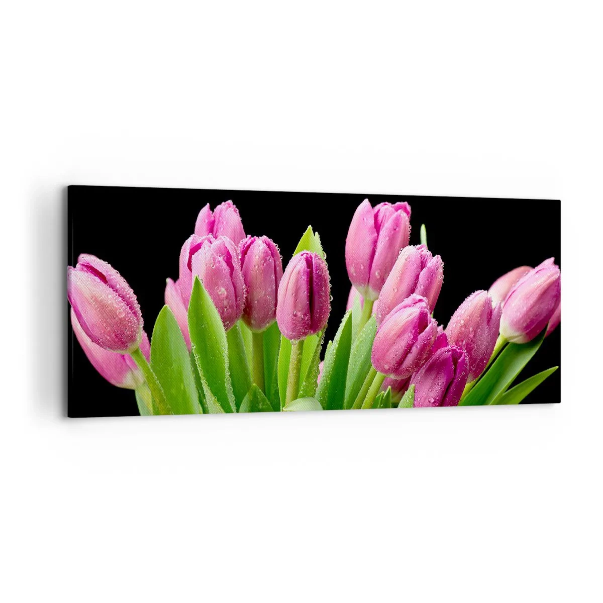 Obraz na płótnie - Różowe tulipany z kroplami rosy na czarnym tle - 120x50cm - Liliowa radość wiosny - Nowoczesna dekoracja ścienna do salonu i sypialni ARTTOR