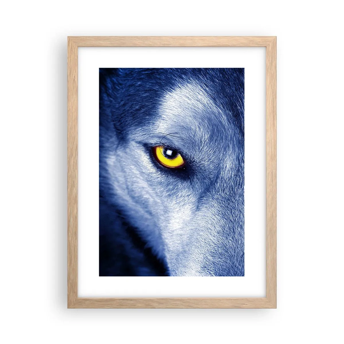 Plakat w ramie jasny dąb - Hipnotyzujące spojrzenie - 30x40 cm