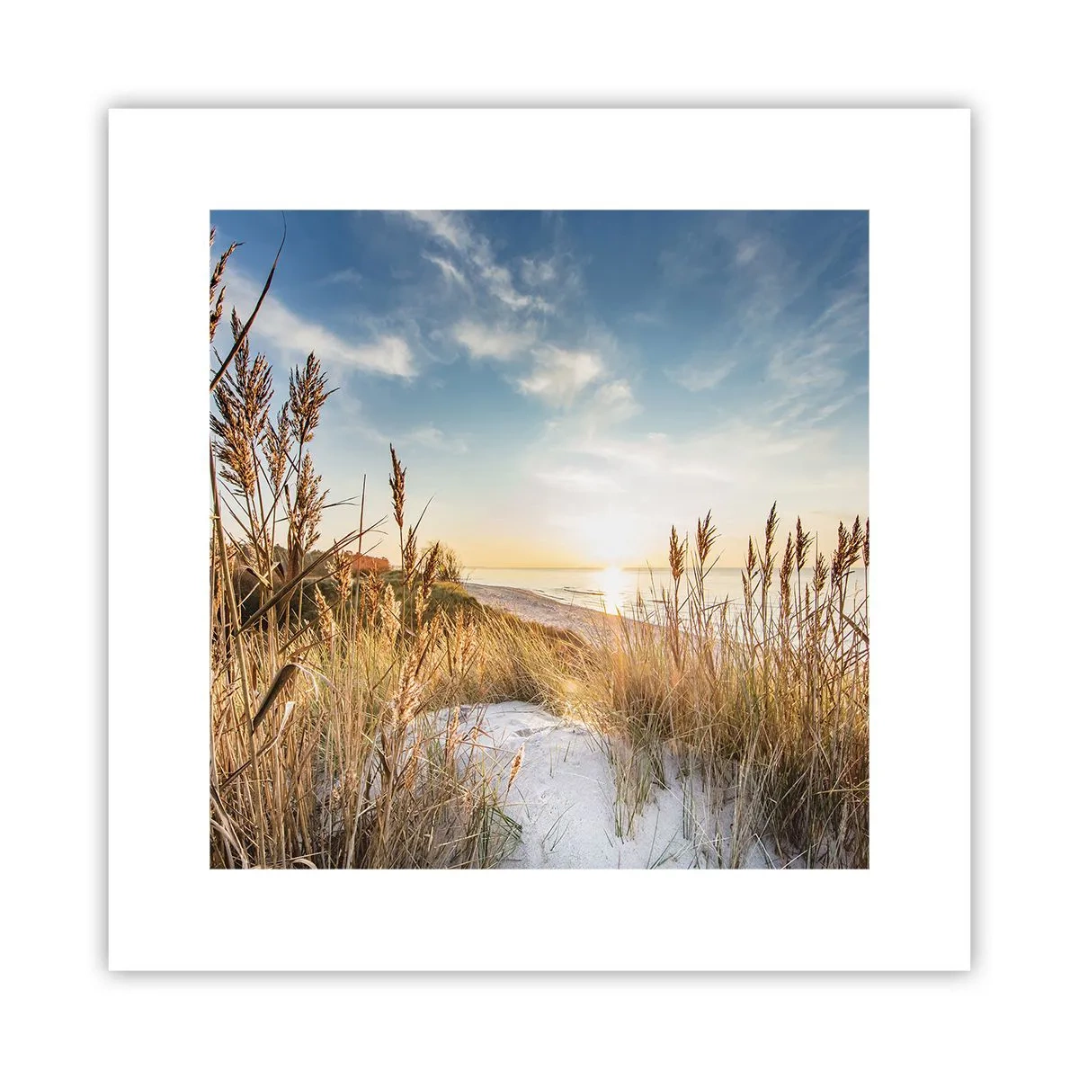 Plakat - Północna plaża - 30x30 cm