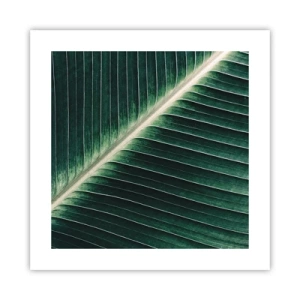 Plakat - Rytm natury - 40x40 cm