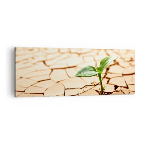 Obraz na płótnie - Zielona roślina wyrastająca z suchej, popękanej ziemi - 140x50cm - Nieposkromiona siła życia - Nowoczesna dekoracja ścienna do salonu i sypialni ARTTOR