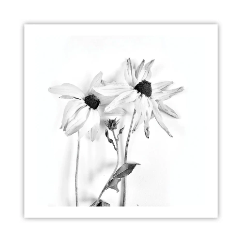 Plakat - Nikt nie chce być sam - 60x60 cm