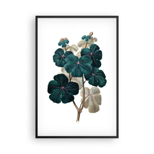 Plakat w czarnej ramie - Ze starego zielnika - 61x91 cm