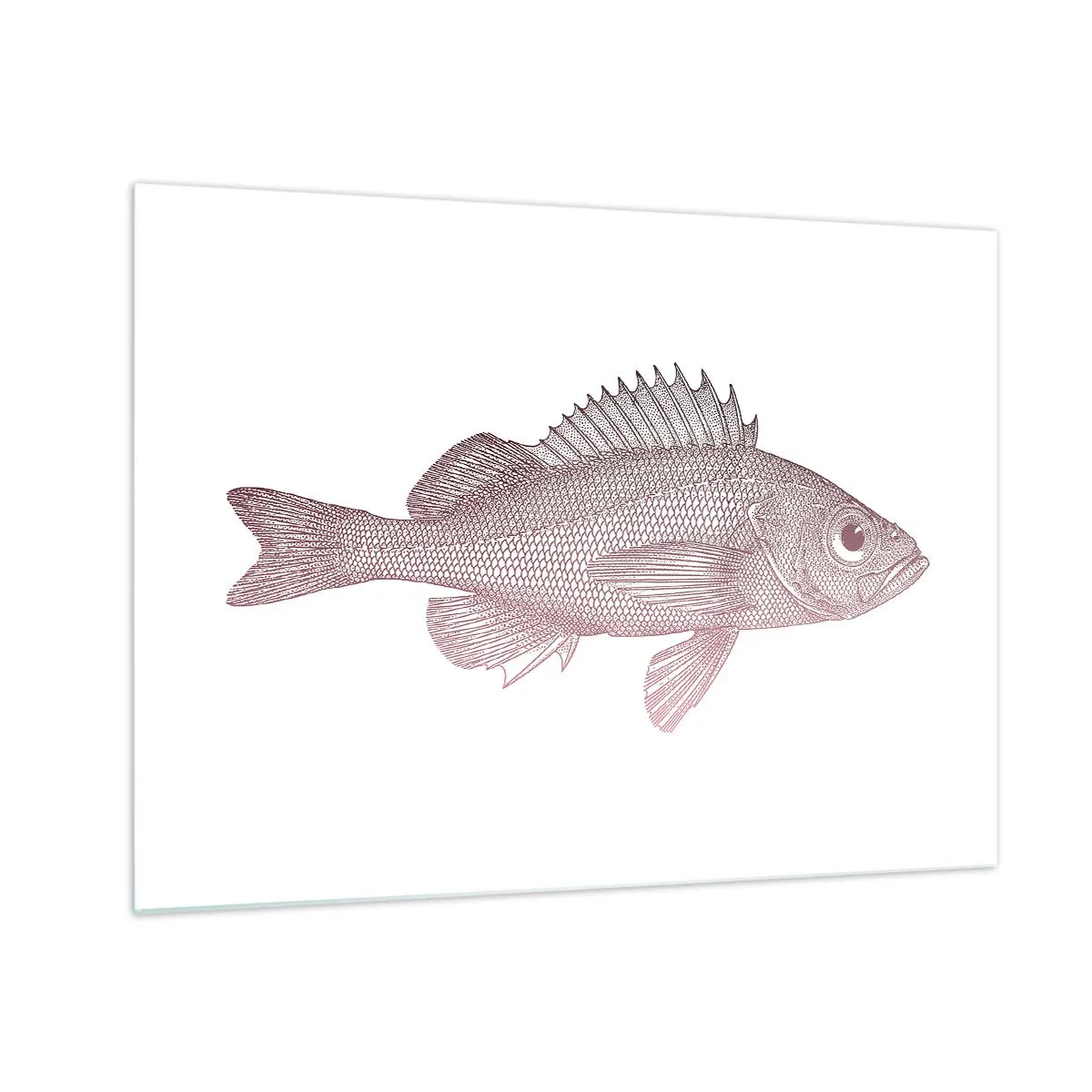 Obraz na szkle - Grafika ryby z dużym okiem w stylu retro na białym tle - 70x50cm - Ryba wielkooka - Nowoczesna dekoracja ścienna do salonu i sypialni ARTTOR