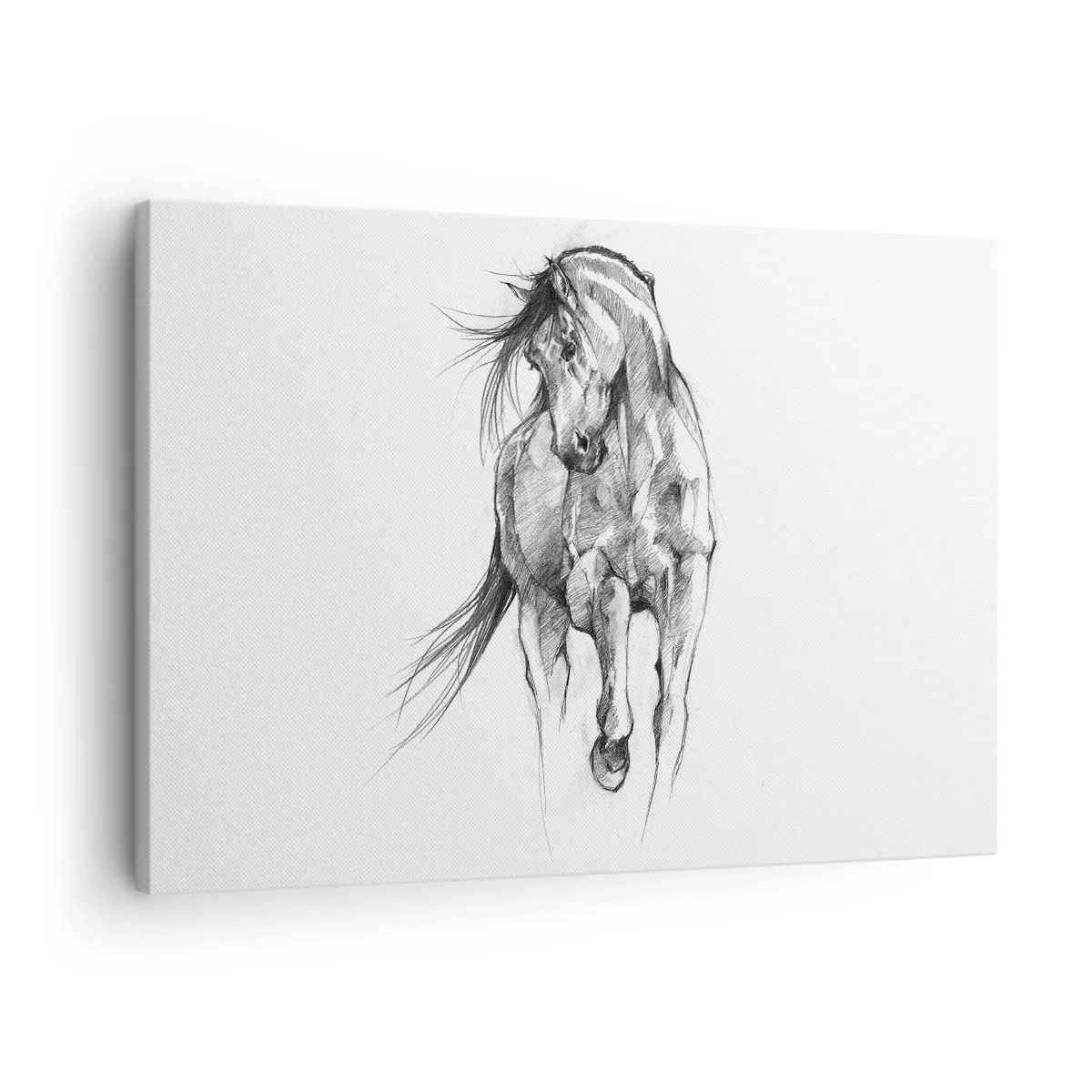 Obraz na płótnie - Szkic galopującego konia w czerni i bieli - 70x50cm - We wdzięcznym kłusie - Nowoczesna dekoracja ścienna do salonu i sypialni ARTTOR