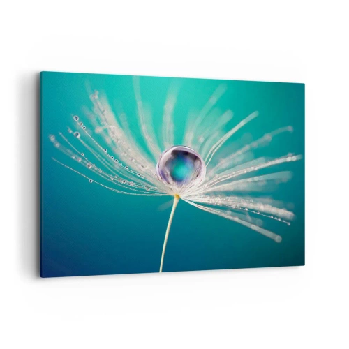 Obraz na płótnie - Makro kropla wody na delikatnym nasionku dmuchawca - 100x70cm - Mistyczna chwila - Nowoczesna dekoracja ścienna do salonu, kuchni i sypialni ARTTOR