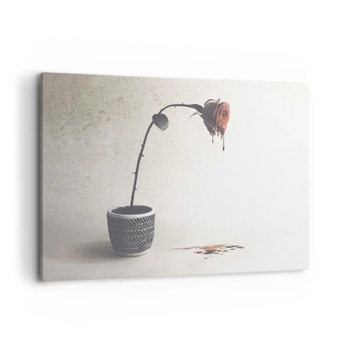 Obraz na płótnie - Czerwona róża w doniczce z kroplami barwnika na białym tle - 100x70cm - Rosa dolorosa - Nowoczesna dekoracja ścienna do salonu, kuchni i sypialni ARTTOR