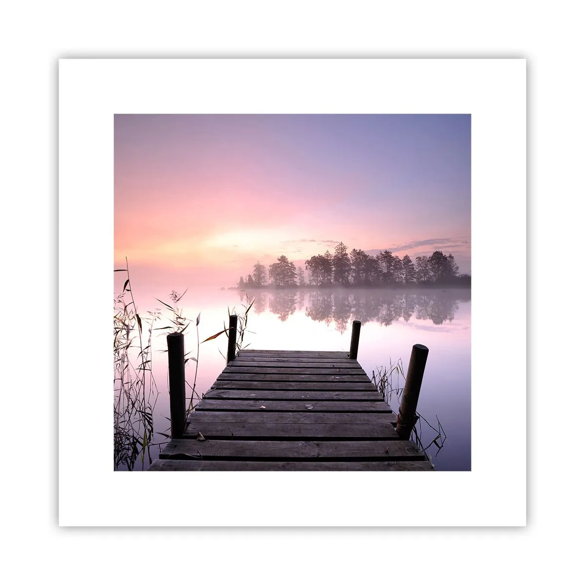 Plakat - Z liliowej mgły... - 30x30 cm