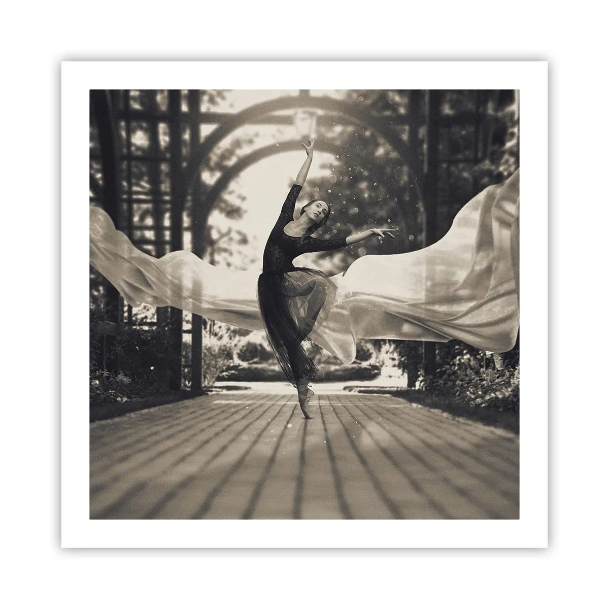 Plakat - Taniec ducha ogrodu - 60x60 cm