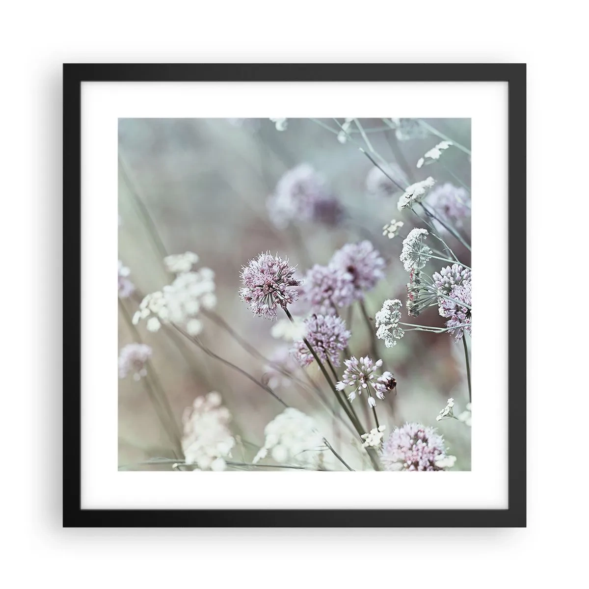 Plakat w czarnej ramie - Słodkie filigrany ziół - 40x40 cm