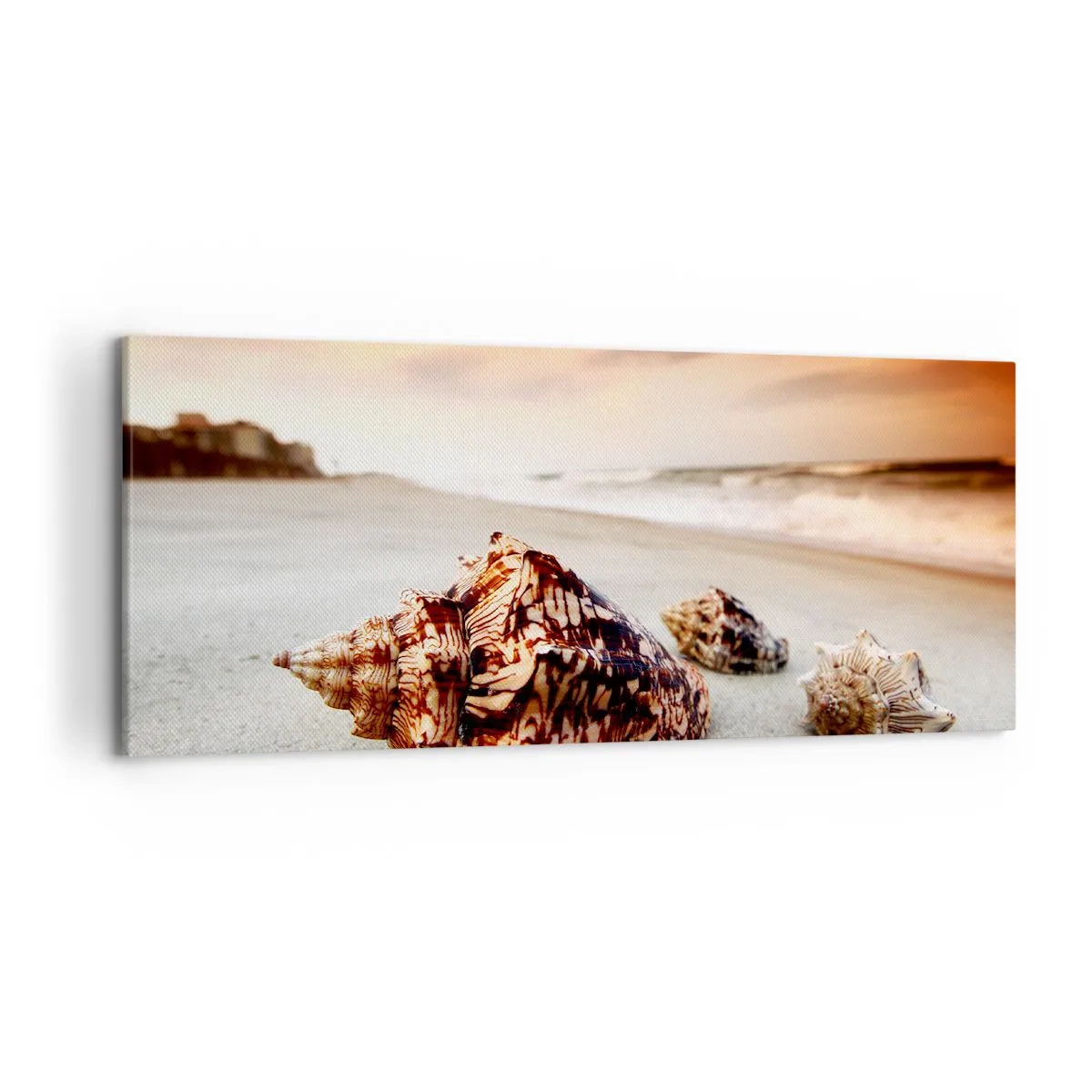 Obraz na płótnie - Muszle na plaży o zachodzie słońca - 120x50cm - Wygnanki fal - Nowoczesna dekoracja ścienna do salonu i sypialni ARTTOR
